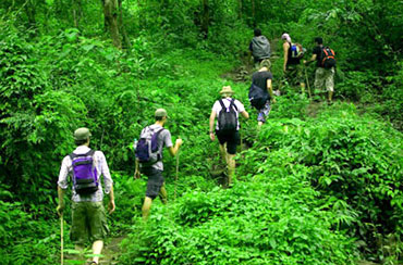 Bali Jungle Trekking