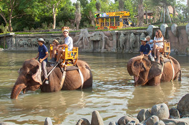 Bali Zoo Elephant Expedition