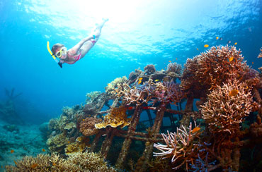 Blue Lagoon Snorkeling