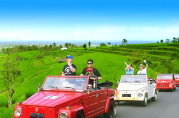 VW Safari Bali Tour