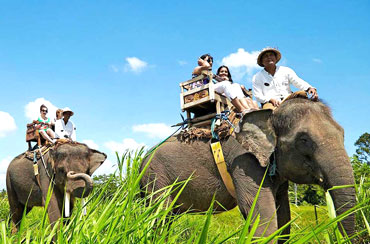 Bakas Elephant Tour