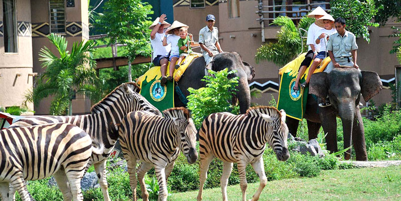 Bali Safari and Marine Park