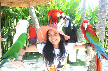 Bali Bird Park