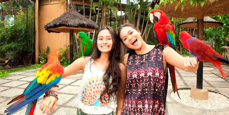 Bali Bird Park and Kintamani Tour