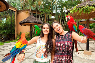 Bali Bird Park and Kintamani Tour