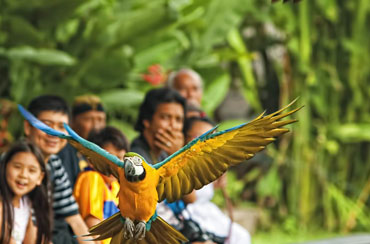 Bali Bird Park and Uluwatu Tour