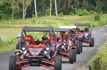 Bali Buggy