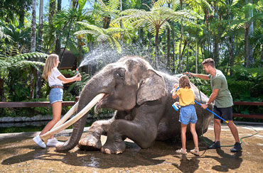 Bali Elephant Safari Park