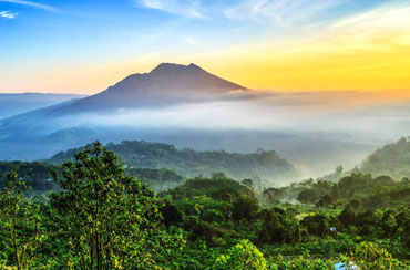 Bali Full Day Tours