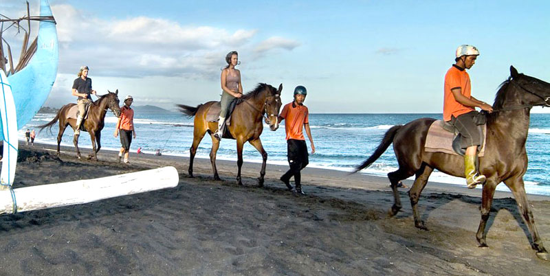 Bali Horse Riding