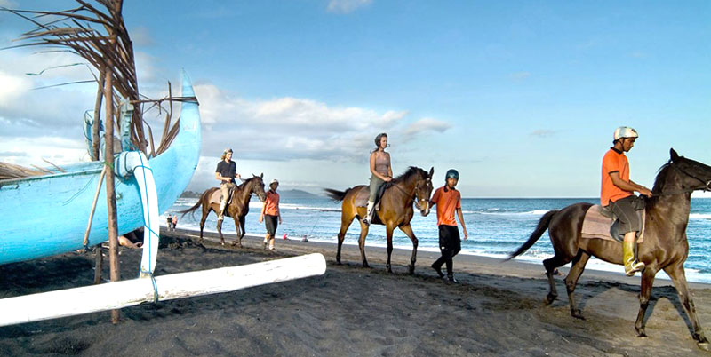 Bali Horse Riding and Kintamani Tour