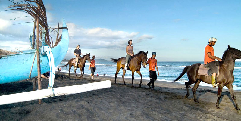 Bali Horse Riding and Spa Packages