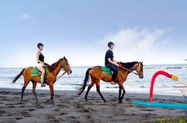 Bali Horse Riding and Spa Packages