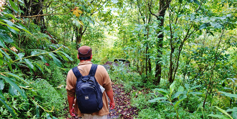 Bali Jungle Trekking