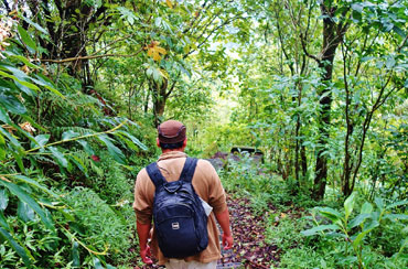 Bali Jungle Trekking and Bedugul Tour