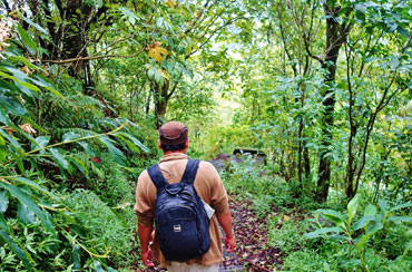 Bali Jungle Trekking