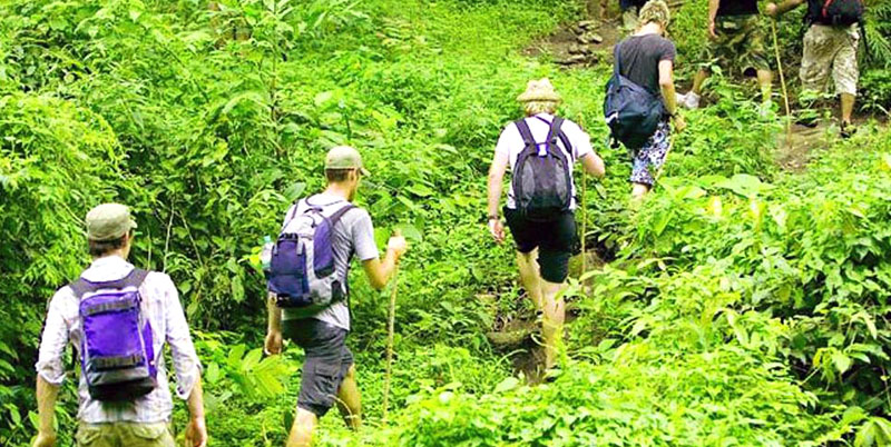 Bali Jungle Trekking and Tanah Lot Tour