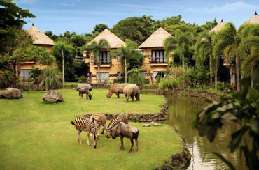 Bali Safari and Marine Park