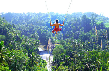 Bali Swing