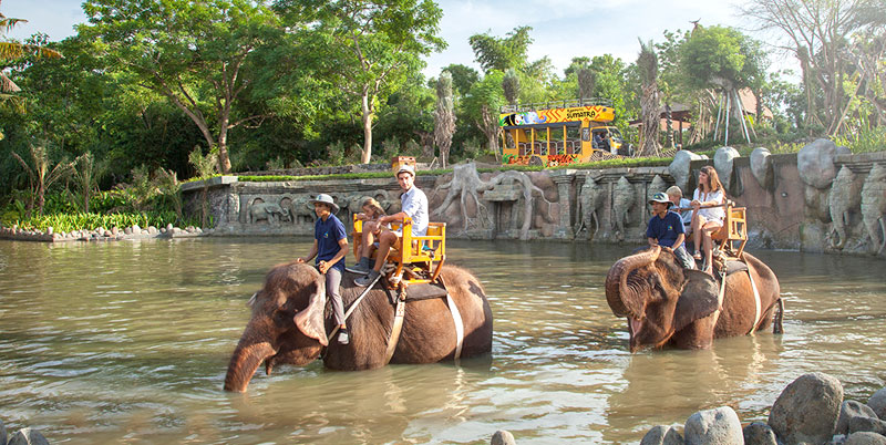 Bali Zoo Elephant Expedition