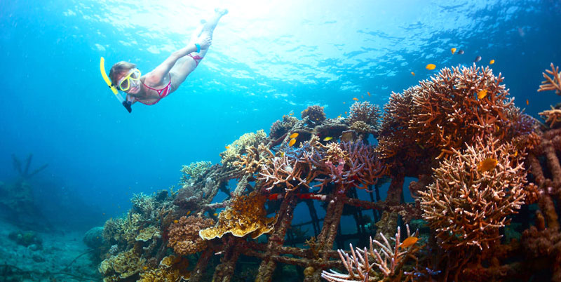 Blue Lagoon Snorkeling