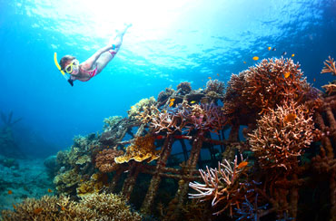 Blue Lagoon Snorkeling and Spa Packages