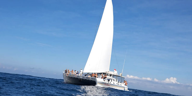 Bali Castaway Cruise