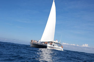 Bali Castaway Cruise