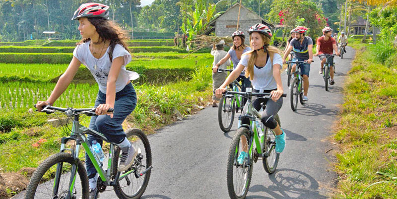 Bali Cycling and Elephant Ride Packages