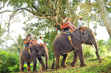 Bali Elephant Ride and Kintamani Volcano Tour