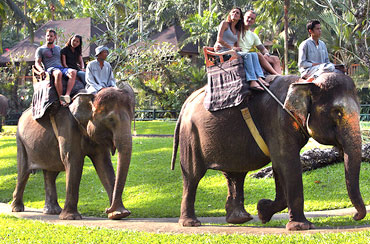 Bali Elephant Ride and Tanah Lot Tour