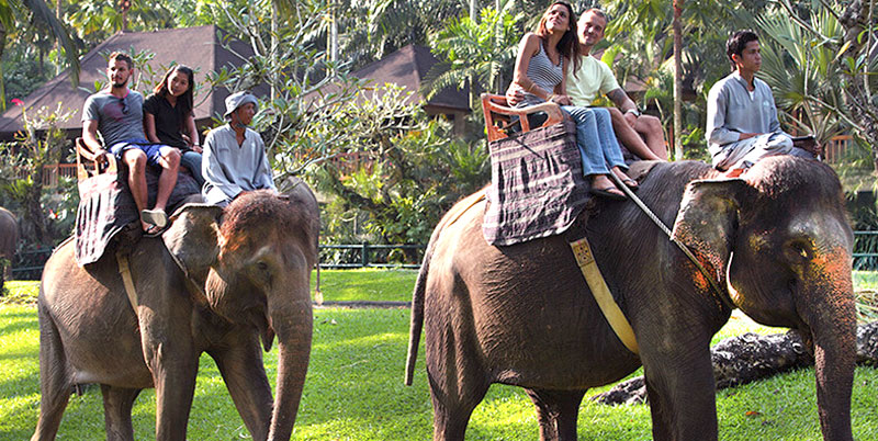 Bali Elephant Ride and Tanah Lot Tour