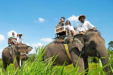 Bali Elephant Ride and Ubud Tour