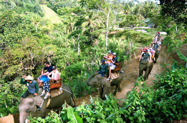 Bali Elephant Ride and Uluwatu Tour
