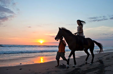 Bali Horse Riding and Elephant Ride Packages