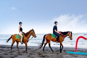 Bali Horse Riding and Ubud Tour