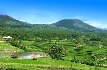 Jatiluwih Rice Terrace