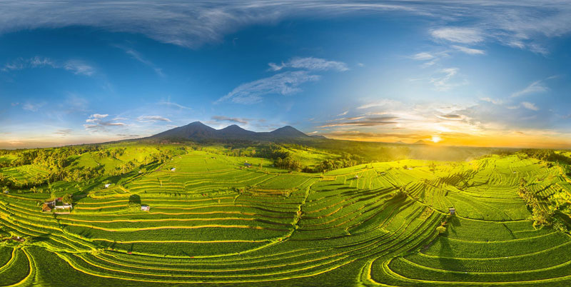 Jatiluwih Rice Terrace