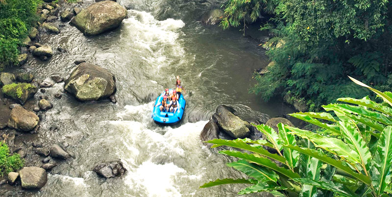 Bali Rafting and Seawalker Packages