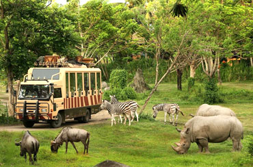 Bali Safari Park and Tanah Lot Tour