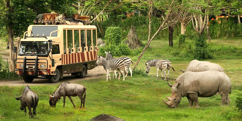 Bali Safari Park and Tanah Lot Tour