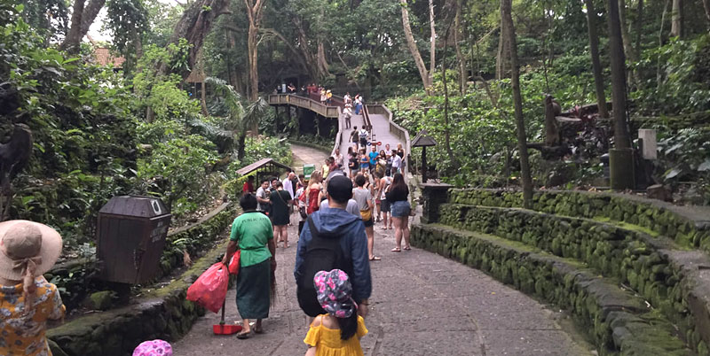 Ubud Monkey Forest