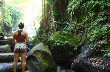 Ubud Monkey Forest