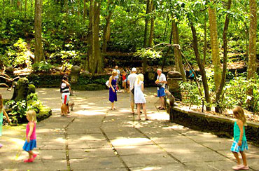 Ubud Monkey Forest