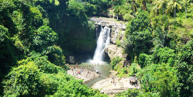 Ubud and Waterfall Tour